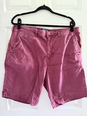 amens American Eagle Extreme Flex Slim Shorts